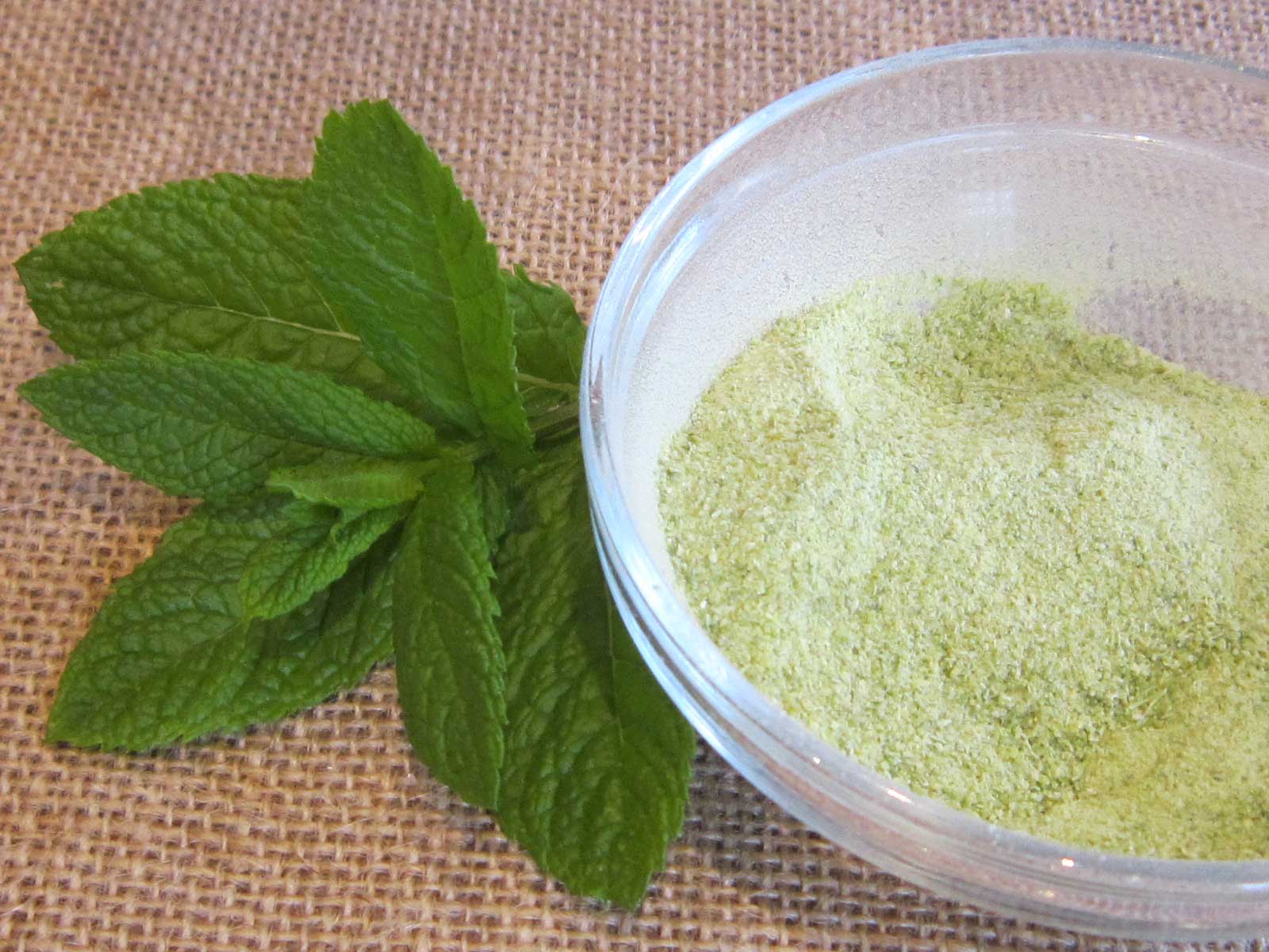 Celery Powder FOOD DEHYDRATING